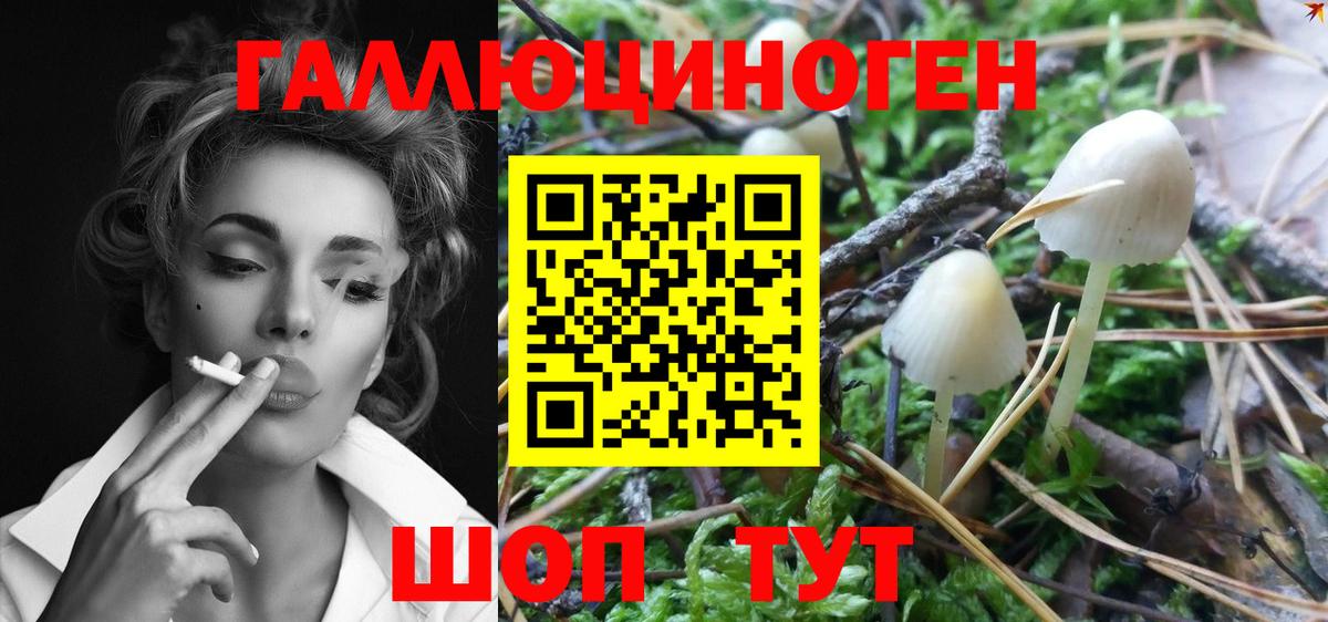 Псилоцибиновые грибы мухоморы Саянск